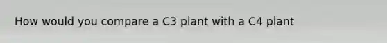 How would you compare a C3 plant with a C4 plant