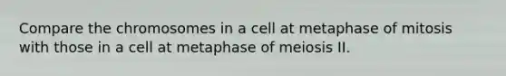 Compare the chromosomes in a cell at metaphase of mitosis with those in a cell at metaphase of meiosis II.