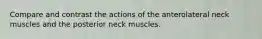 Compare and contrast the actions of the anterolateral neck muscles and the posterior neck muscles.