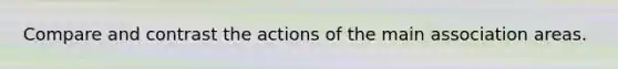 Compare and contrast the actions of the main association areas.