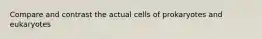 Compare and contrast the actual cells of prokaryotes and eukaryotes