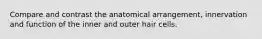 Compare and contrast the anatomical arrangement, innervation and function of the inner and outer hair cells.