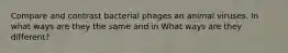 Compare and contrast bacterial phages an animal viruses. In what ways are they the same and in What ways are they different?