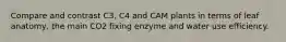 Compare and contrast C3, C4 and CAM plants in terms of leaf anatomy, the main CO2 fixing enzyme and water use efficiency.