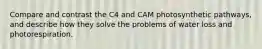 Compare and contrast the C4 and CAM photosynthetic pathways, and describe how they solve the problems of water loss and photorespiration.