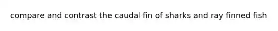 compare and contrast the caudal fin of sharks and ray finned fish