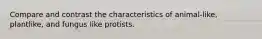 Compare and contrast the characteristics of animal-like, plantlike, and fungus like protists.