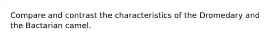 Compare and contrast the characteristics of the Dromedary and the Bactarian camel.