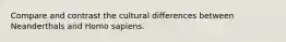 Compare and contrast the cultural differences between Neanderthals and Homo sapiens.