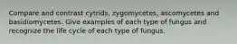 Compare and contrast cytrids, zygomycetes, ascomycetes and basidiomycetes. Give examples of each type of fungus and recognize the life cycle of each type of fungus.