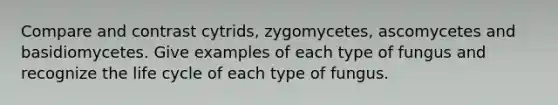 Compare and contrast cytrids, zygomycetes, ascomycetes and basidiomycetes. Give examples of each type of fungus and recognize the life cycle of each type of fungus.