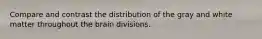 Compare and contrast the distribution of the gray and white matter throughout the brain divisions.