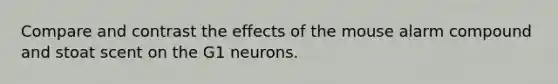 Compare and contrast the effects of the mouse alarm compound and stoat scent on the G1 neurons.