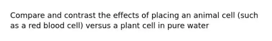 Compare and contrast the effects of placing an animal cell (such as a red blood cell) versus a plant cell in pure water