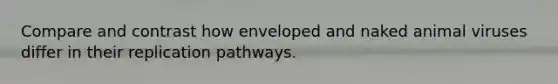 Compare and contrast how enveloped and naked animal viruses differ in their replication pathways.