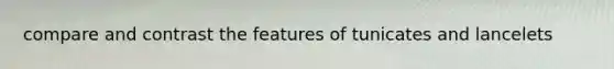 compare and contrast the features of tunicates and lancelets
