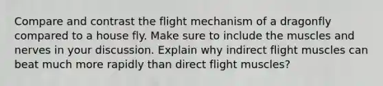 Compare and contrast the flight mechanism of a dragonfly compared to a house fly. Make sure to include the muscles and nerves in your discussion. Explain why indirect flight muscles can beat much more rapidly than direct flight muscles?