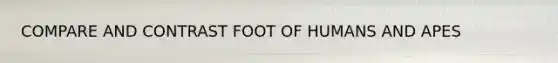 COMPARE AND CONTRAST FOOT OF HUMANS AND APES