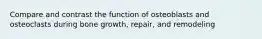 Compare and contrast the function of osteoblasts and osteoclasts during bone growth, repair, and remodeling