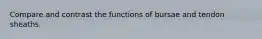 Compare and contrast the functions of bursae and tendon sheaths.