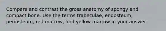 Compare and contrast the gross anatomy of spongy and compact bone. Use the terms trabeculae, endosteum, periosteum, red marrow, and yellow marrow in your answer.