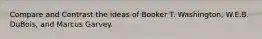 Compare and Contrast the ideas of Booker T. Washington, W.E.B. DuBois, and Marcus Garvey.