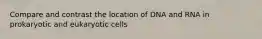 Compare and contrast the location of DNA and RNA in prokaryotic and eukaryotic cells