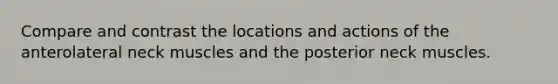 Compare and contrast the locations and actions of the anterolateral neck muscles and the posterior neck muscles.