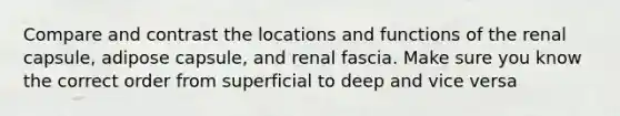 Compare and contrast the locations and functions of the renal capsule, adipose capsule, and renal fascia. Make sure you know the correct order from superficial to deep and vice versa