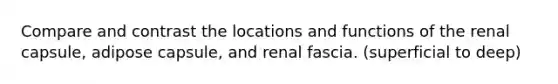 Compare and contrast the locations and functions of the renal capsule, adipose capsule, and renal fascia. (superficial to deep)