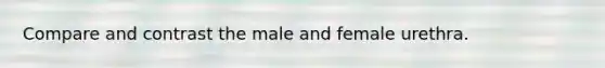 Compare and contrast the male and female urethra.