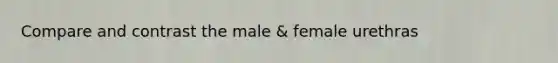 Compare and contrast the male & female urethras