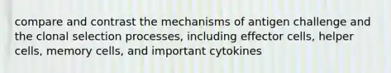 compare and contrast the mechanisms of antigen challenge and the clonal selection processes, including effector cells, helper cells, memory cells, and important cytokines