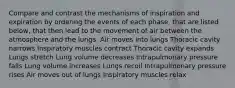 Compare and contrast the mechanisms of inspiration and expiration by ordering the events of each phase, that are listed below, that then lead to the movement of air between the atmosphere and the lungs. Air moves into lungs Thoracic cavity narrows Inspiratory muscles contract Thoracic cavity expands Lungs stretch Lung volume decreases Intrapulmonary pressure falls Lung volume increases Lungs recoil Intrapulmonary pressure rises Air moves out of lungs Inspiratory muscles relax