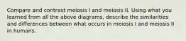 Compare and contrast meiosis I and meiosis II. Using what you learned from all the above diagrams, describe the similarities and differences between what occurs in meiosis I and meiosis II in humans.