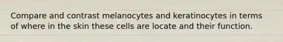 Compare and contrast melanocytes and keratinocytes in terms of where in the skin these cells are locate and their function.