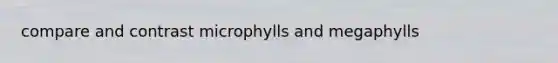 compare and contrast microphylls and megaphylls