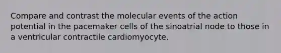 Compare and contrast the molecular events of the action potential in the pacemaker cells of the sinoatrial node to those in a ventricular contractile cardiomyocyte.