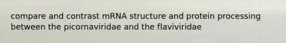 compare and contrast mRNA structure and protein processing between the picornaviridae and the flaviviridae