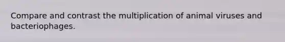 Compare and contrast the multiplication of animal viruses and bacteriophages.