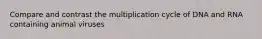 Compare and contrast the multiplication cycle of DNA and RNA containing animal viruses