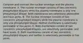 Compare and contrast the nuclear envelope and the plasma membrane. A. The nuclear envelope consists of two concentric phospholipid bilayers while the plasma membrane is only one phospholipid bilayer. Both membranes are selectively permeable and have pores. B. The nuclear envelope consists of two concentric phospholipid bilayers while the plasma membrane is only one phospholipid bilayer. Neither membrane is selectively permeable or has pores. C. Both membranes consist of two concentric phospholipid bilayers, are selectively permeable, and have pores. D. Both membranes consist of two concentric phospholipid bilayers and neither is selectively permeable or has pores.