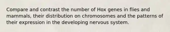 Compare and contrast the number of Hox genes in flies and mammals, their distribution on chromosomes and the patterns of their expression in the developing nervous system.