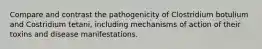 Compare and contrast the pathogenicity of Clostridium botulium and Costridium tetani, including mechanisms of action of their toxins and disease manifestations.