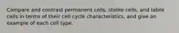 Compare and contrast permanent cells, stable cells, and labile cells in terms of their cell cycle characteristics, and give an example of each cell type.