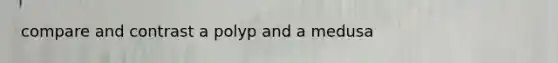 compare and contrast a polyp and a medusa