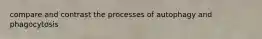 compare and contrast the processes of autophagy and phagocytosis