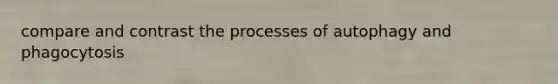 compare and contrast the processes of autophagy and phagocytosis