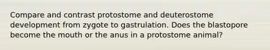 Compare and contrast protostome and deuterostome development from zygote to gastrulation. Does the blastopore become the mouth or the anus in a protostome animal?