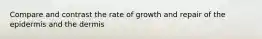 Compare and contrast the rate of growth and repair of the epidermis and the dermis